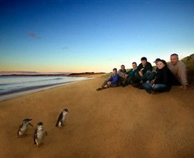 Phillip Island Nature Parks - Accommodation Bookings 7