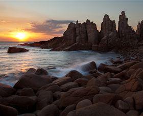 Phillip Island Nature Parks - Accommodation Bookings 6