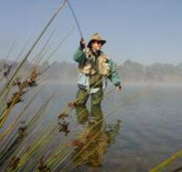 Lake Wallace - Accommodation Bookings