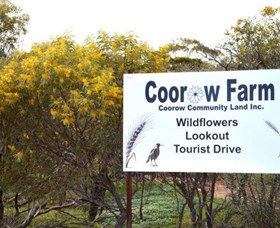 Coorow Farm Wildflower Trail - Accommodation Bookings 0