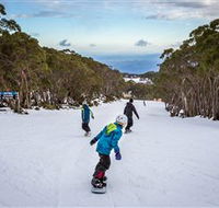 Mt Baw Baw Alpine Resort - Accommodation Bookings