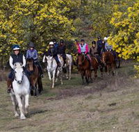 Burnelee Excursions on Horseback - Accommodation Bookings