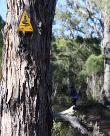 Mount Dale Walk Trail - Accommodation Bookings 1