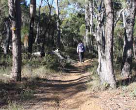 Mount Dale Walk Trail - Accommodation Bookings 2