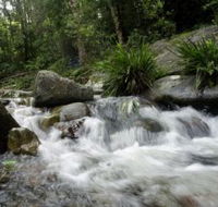 Washpool National Park - Accommodation Bookings