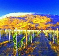 Surveyors Hill Winery - Accommodation Bookings