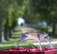 Lillico Glass Studio - Accommodation Bookings