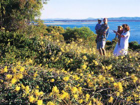 Seventeen Seventy QLD Accommodation Bookings