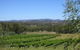 Pyramids Road Wines - thumb 3