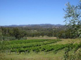 Pyramids Road Wines - Accommodation Bookings 3