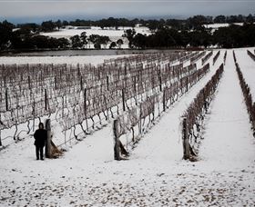 Savina Lane Premum Wines - Accommodation Bookings 2