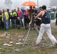 Lockyers Road Walking Track - Accommodation Bookings