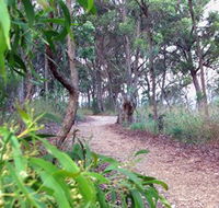 Mount Mutton Walking Trail - Accommodation Bookings