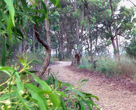 Mount Mutton Walking Trail - Accommodation Bookings 0