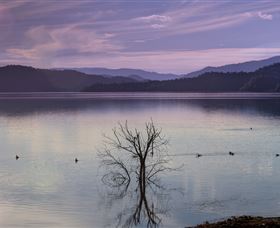 Scone NSW Accommodation Bookings