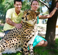 National Zoo  Aquarium - Accommodation Bookings