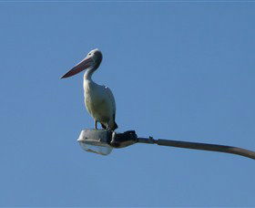 Bailey's Sydney - Tours For People Who Don't Like Tours - Accommodation Bookings 3