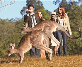 Boutique Tours Australia - Accommodation Bookings 2