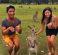 Runaway Tours - Accommodation Bookings