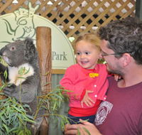 Blue Diamond Tours - Accommodation Bookings
