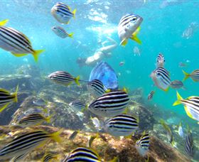 EcoTreasures - Accommodation Bookings 0