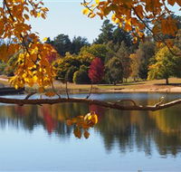 Ross Garden Tours - Accommodation Bookings