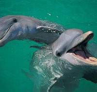 Colourful Trips - Accommodation Bookings