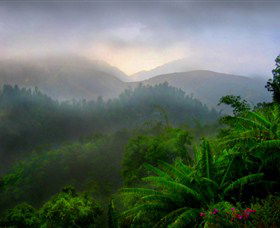 Dingo Tours - Accommodation Bookings 2