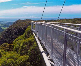 Dingo Tours - Accommodation Bookings 4