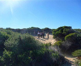 Dingo Tours - Accommodation Bookings 7