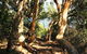 My Walking Detour - thumb 6