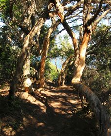 My Walking Detour - Accommodation Bookings 6