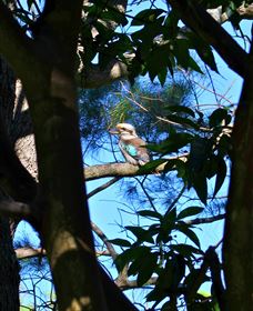 My Walking Detour - Accommodation Bookings 5