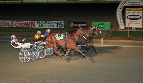 Bathurst Harness Racing Club - Accommodation Bookings 3