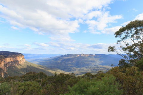 Dingo Travel - Accommodation Bookings 1