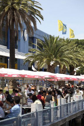 Sydneys Fish Market - Accommodation Bookings 1