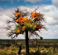 The Delmar Gallery - Accommodation Bookings