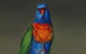 Darren Knight Gallery - thumb 3
