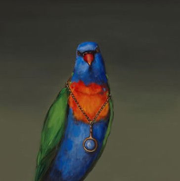 Darren Knight Gallery - Accommodation Bookings 3