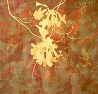 Fellia Melas Gallery - Accommodation Bookings
