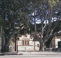 Rozelle Weekend Markets - Accommodation Bookings