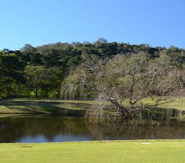 Antill Park Country Golf Club - Accommodation Bookings 1