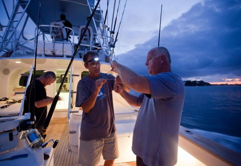 Amokura Charters - Accommodation Bookings 1