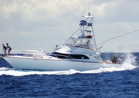 Amokura Charters - Accommodation Bookings 2