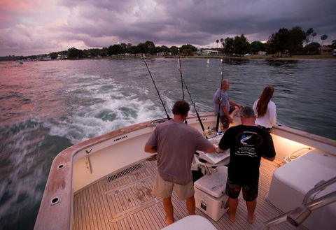 Amokura Charters - Accommodation Bookings 3