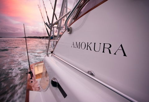 Amokura Charters - Accommodation Bookings 4