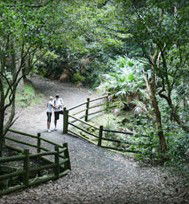 Blackbutt Reserve - Accommodation Bookings 3