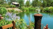 Gone Walkabout Safaris - Accommodation Bookings 0