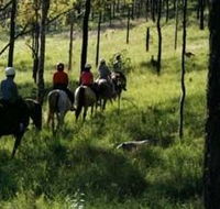 Hunter Valley Horse Riding and Adventures - Accommodation Bookings