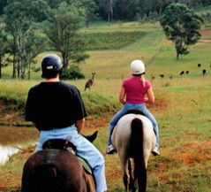 Hunter Valley Horse Riding And Adventures - Accommodation Bookings 3